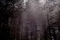 2013-07-07-195
