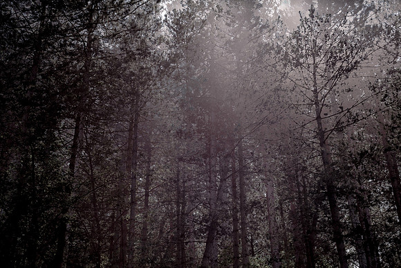 2013-07-07-195