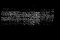 270216-3-4