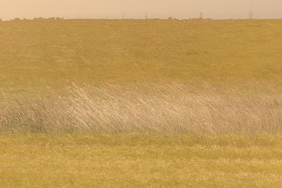 2013-06-07-231