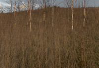 090114-104