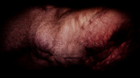 200116-3-14