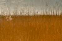 2013-04-30-3-163