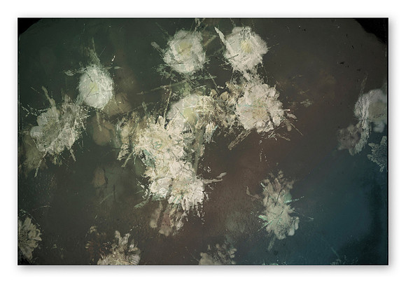 JWE-JW-RL-V210x280-PR-Spreads34_1080px