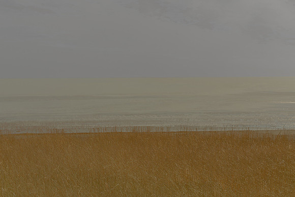 110315#123