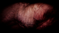 200116-3-3