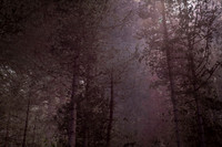 2013-07-07-221
