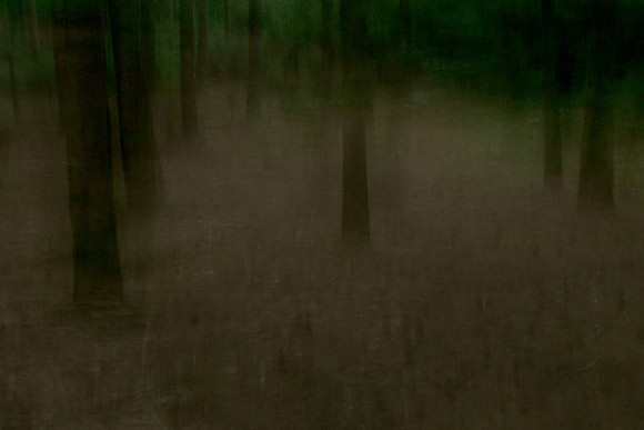 2013-07-20-77