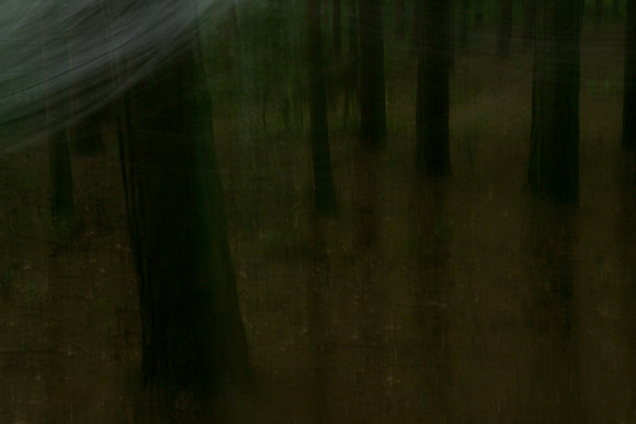 2013-07-20-48