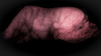 200116-2-15