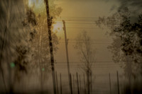 agra #81