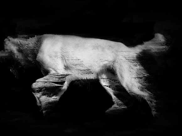frame116_dog #142-3-2