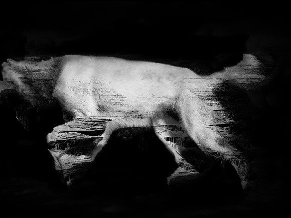 frame142_dog #142-3-2