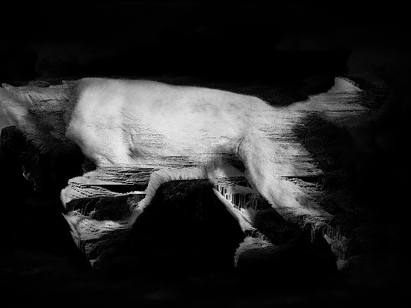 frame172_dog #142-3-2