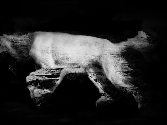 frame154_dog #142-3-2