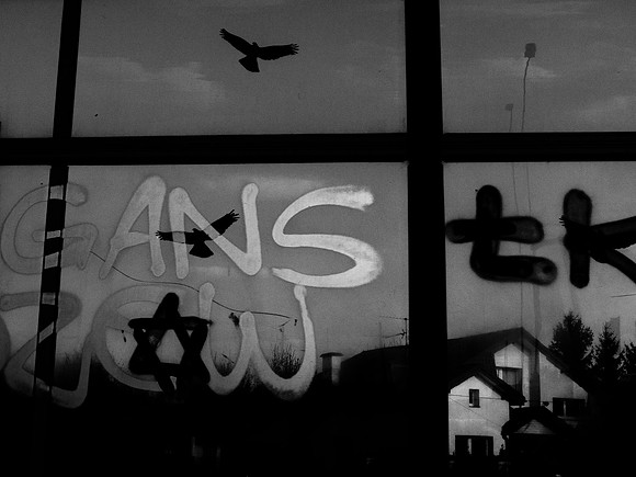road to lodz #511