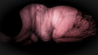 200116-2-8