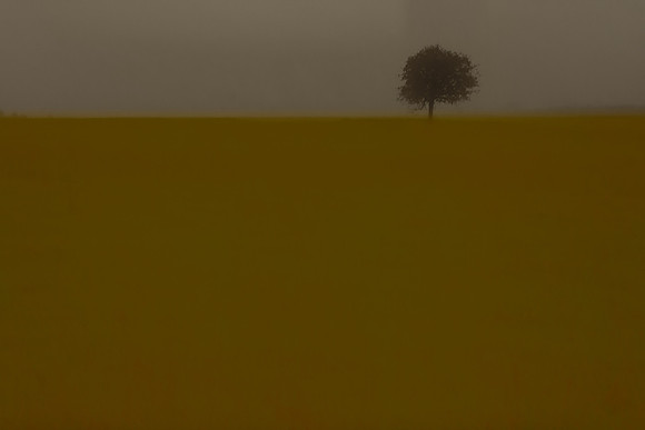 6710572911_18773256fa_o