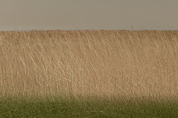 2013-06-07-154