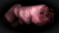 200116-2-3