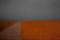 reeds #6