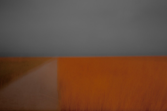 reeds #6