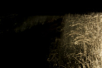 20140203-030214 #285