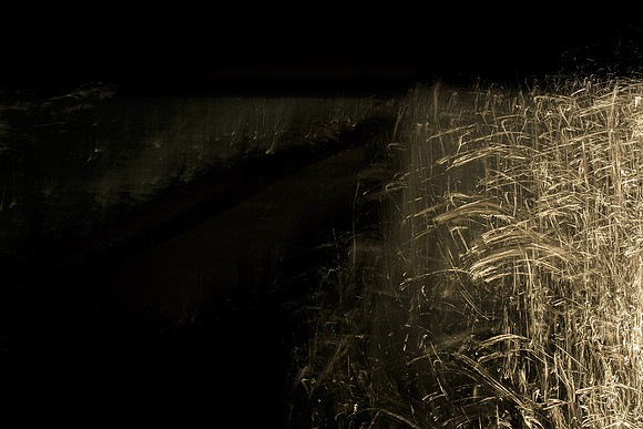 20140203-030214 #285