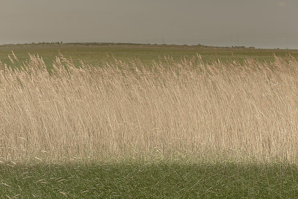 2013-06-07-161