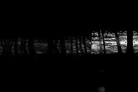 260216-19