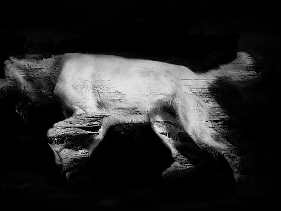 frame127_dog #142-3-2
