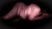 200116-2-11