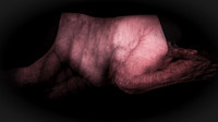 200116-2-20