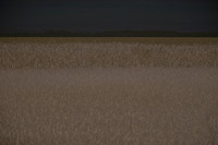 170714-8