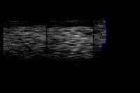 270216-3-1