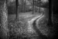 Path 2