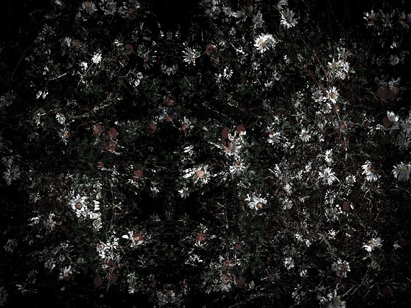 160616-7-11