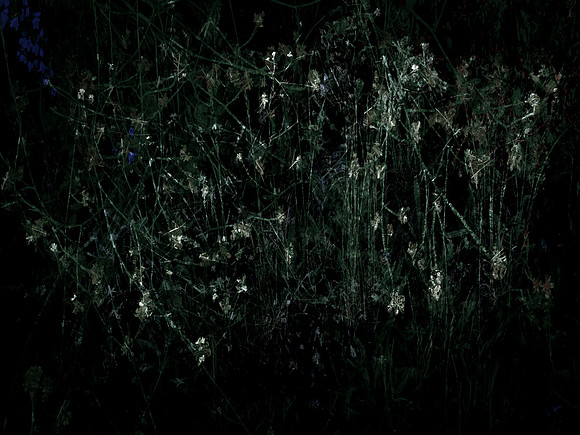 200616-3-33