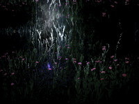 200616-2-15