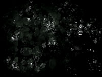 190616-9-4