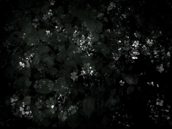 190616-9-4