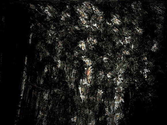 160616-8-6