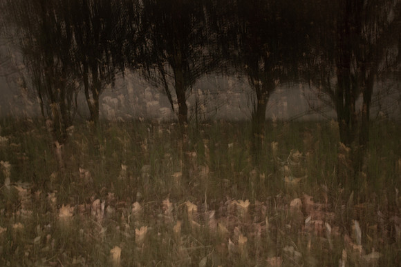 autumn #9