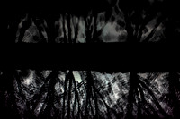 shadows #10
