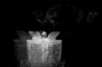 afterlife #15