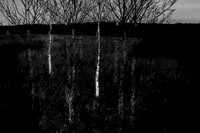 260316-1-20