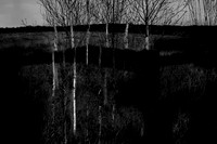 260316-1-5