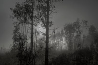 010516-1-15
