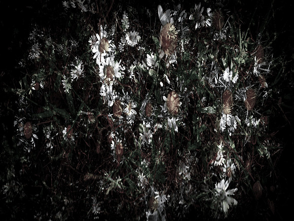 160616-7-22