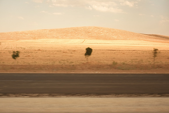 silk road #7